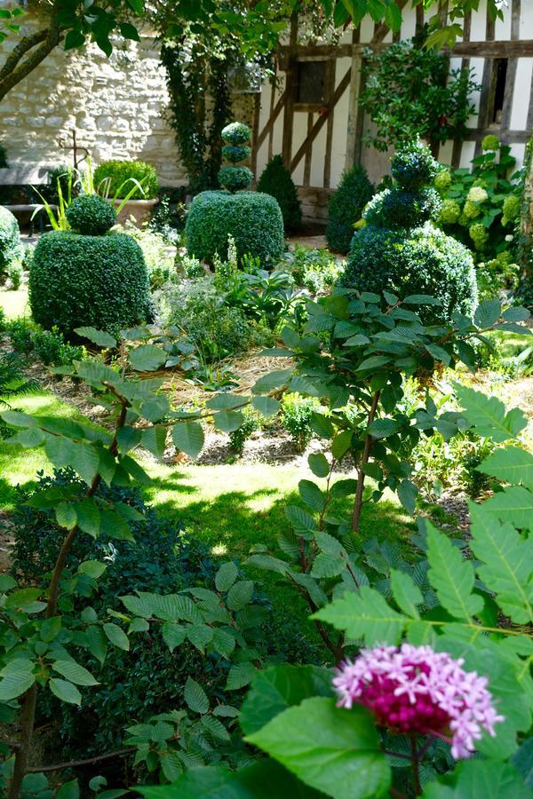 Le Jardin De La Cathedrale Bed & Breakfast Troyes Ngoại thất bức ảnh
